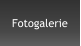 Fotogalerie